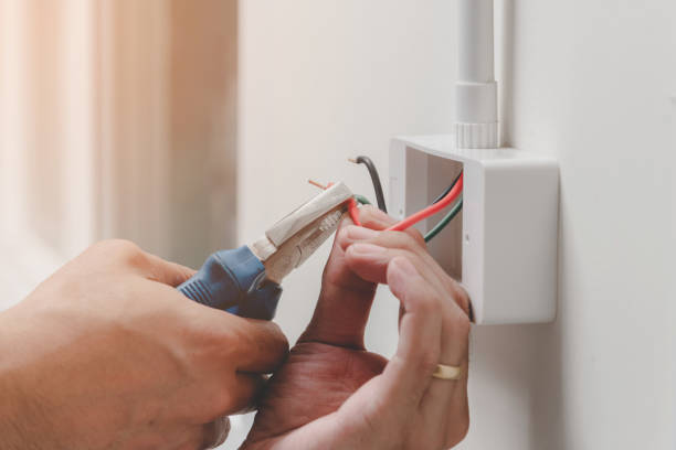 Best Surge Protection Installation  in Frankford, DE